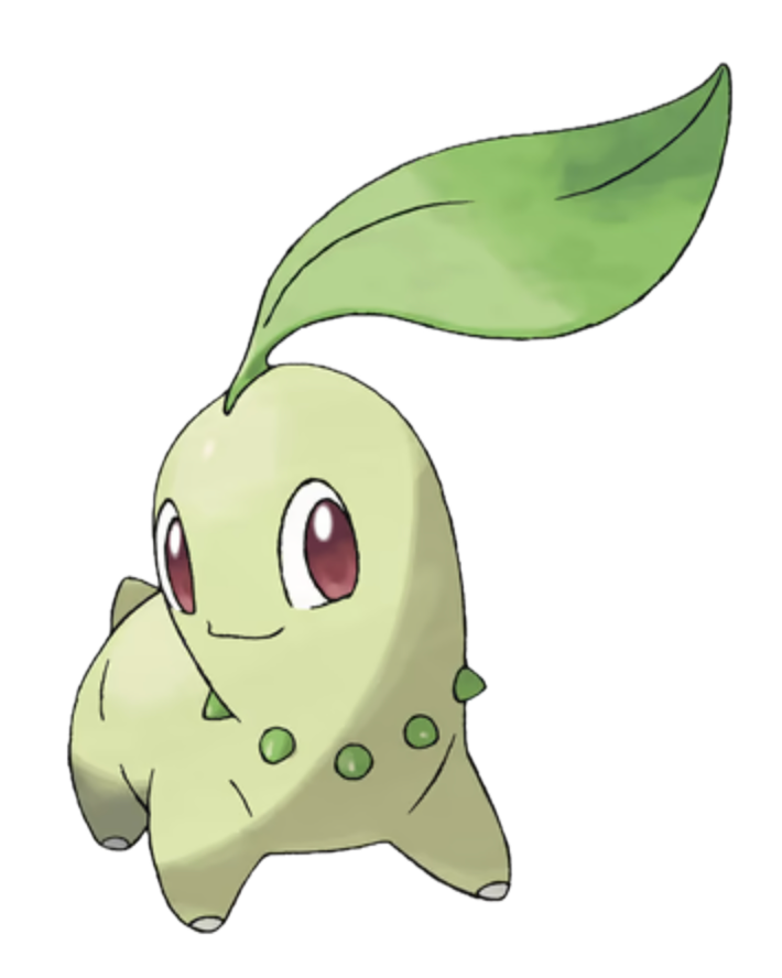 Chikorita