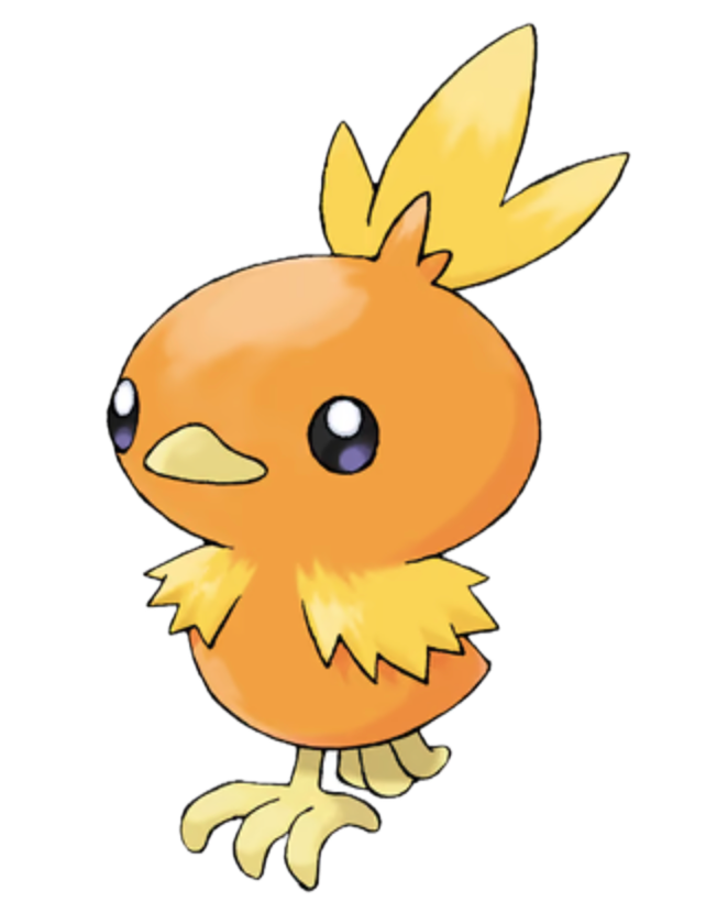 Torchic