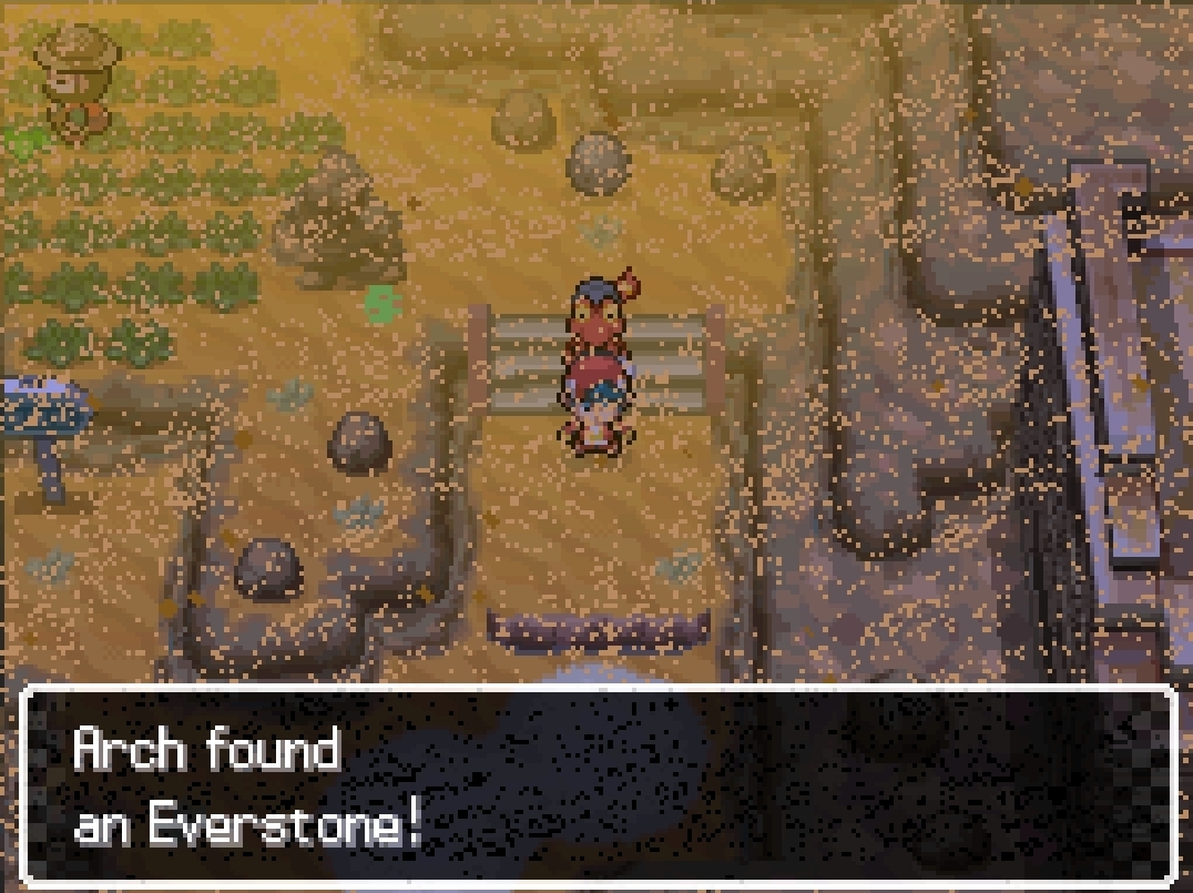 Everstone — in-game screenshot taken at Route 412