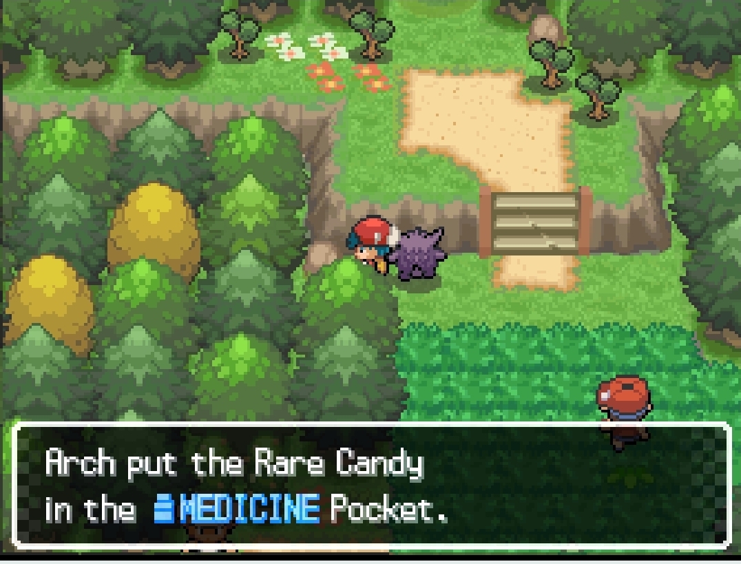 Rare Candy — in-game screenshot taken at Route 403