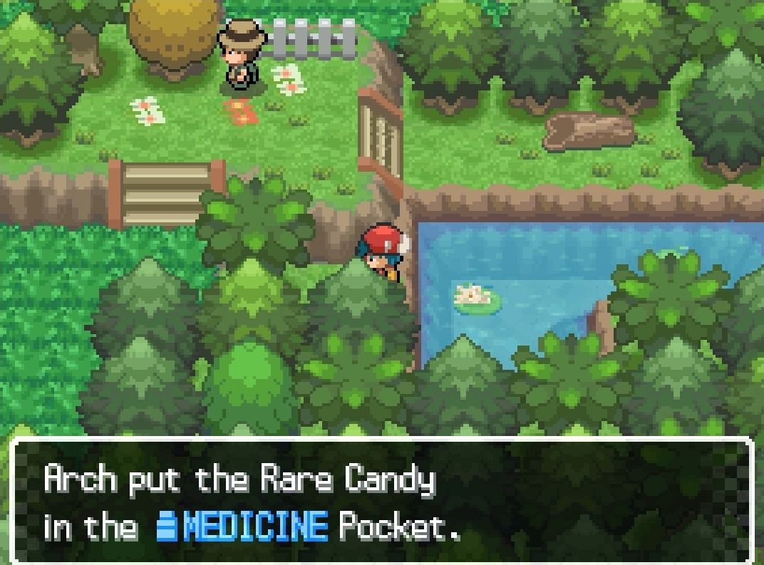 Rare Candy — in-game screenshot taken at Route 409