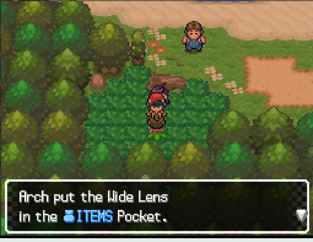 Wide Lens — in-game screenshot taken at Route 407 — trash-cleaner girl