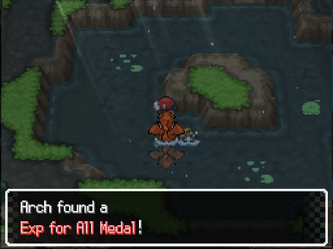 Exp For All Medal — in-game screenshot taken at Mass Spring Cave · Route 404