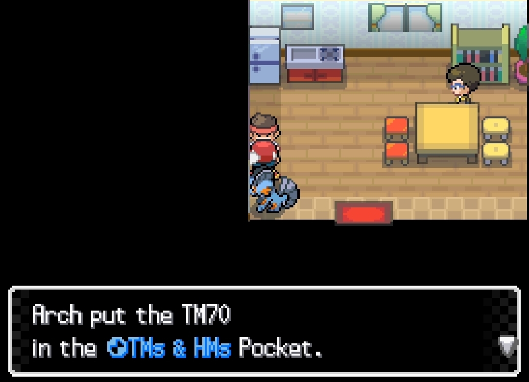 TM70 Flash — in-game screenshot taken at Gromet City